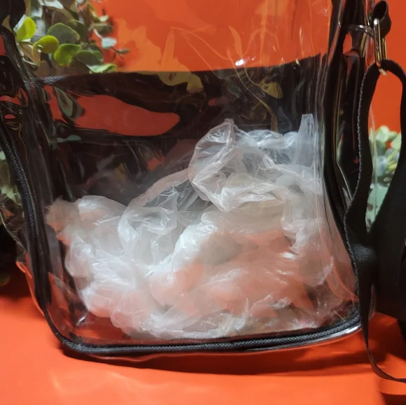 Clear Black Trim Crossbody Bag - Picture 6 of 7